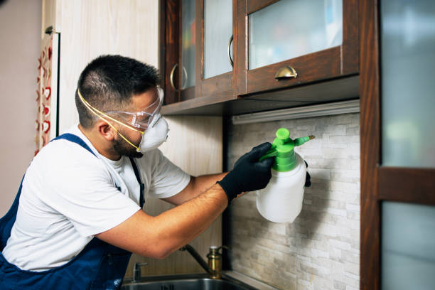 Best Pest Control for Homes  in Huntsville, TN