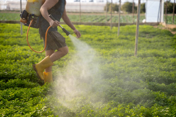 Best Best Pest Control Companies  in Huntsville, TN