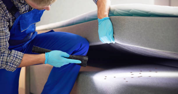 Best Termite Control Services  in Huntsville, TN