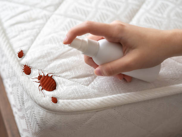 Best Pest Prevention Services  in Huntsville, TN