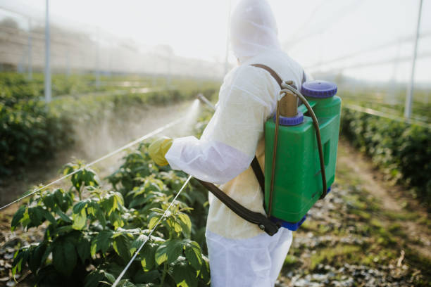Wildlife Control Services in Huntsville, TN